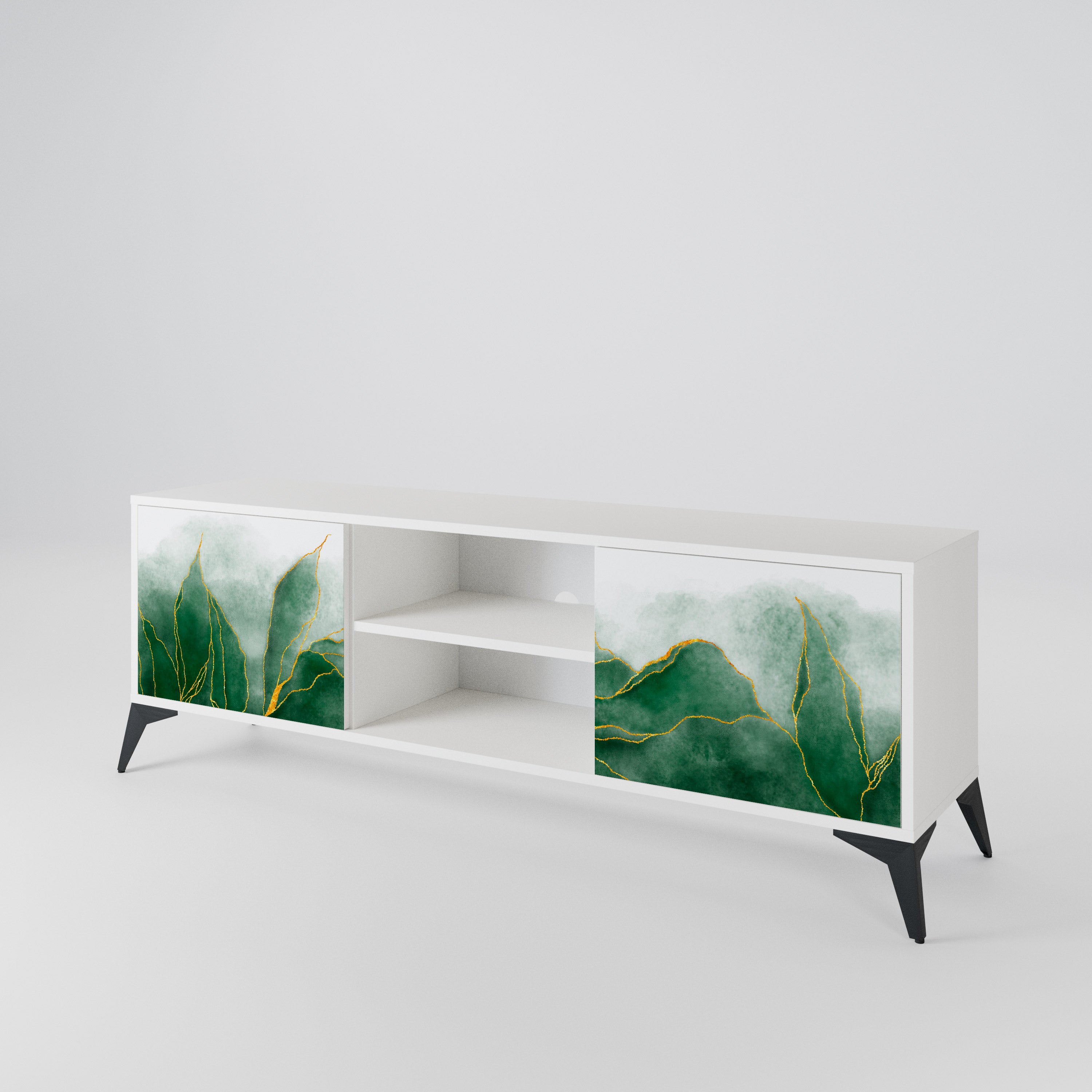 EXPENSIVE NATURE 2-Door TV Cabinet