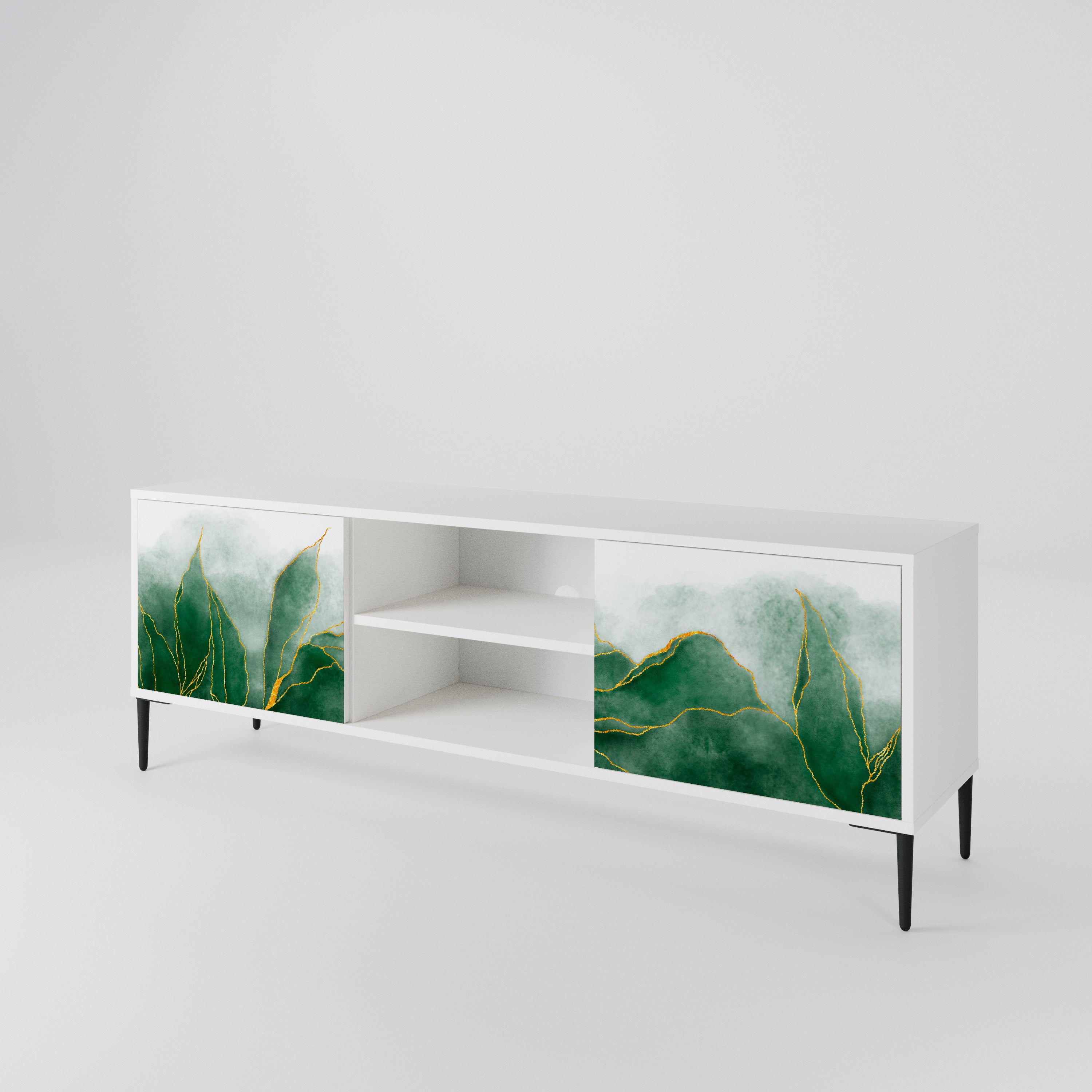 EXPENSIVE NATURE 2-Door TV Cabinet