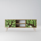 WILDERNESS DASH 2-Door TV Stand in Oak Effect