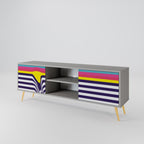 COLORFUL DIVERSION 2-Door TV Stand in Grey Finish