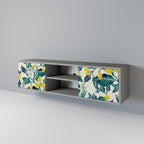 LEMON TREE 2-dörrars TV-bänk i grå finish