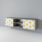 RADIANT REVERIE 2-dörrars TV-bänk i grå finish