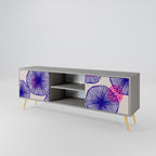 MAGIC NATURE 2-dörrars TV-bänk i grå finish