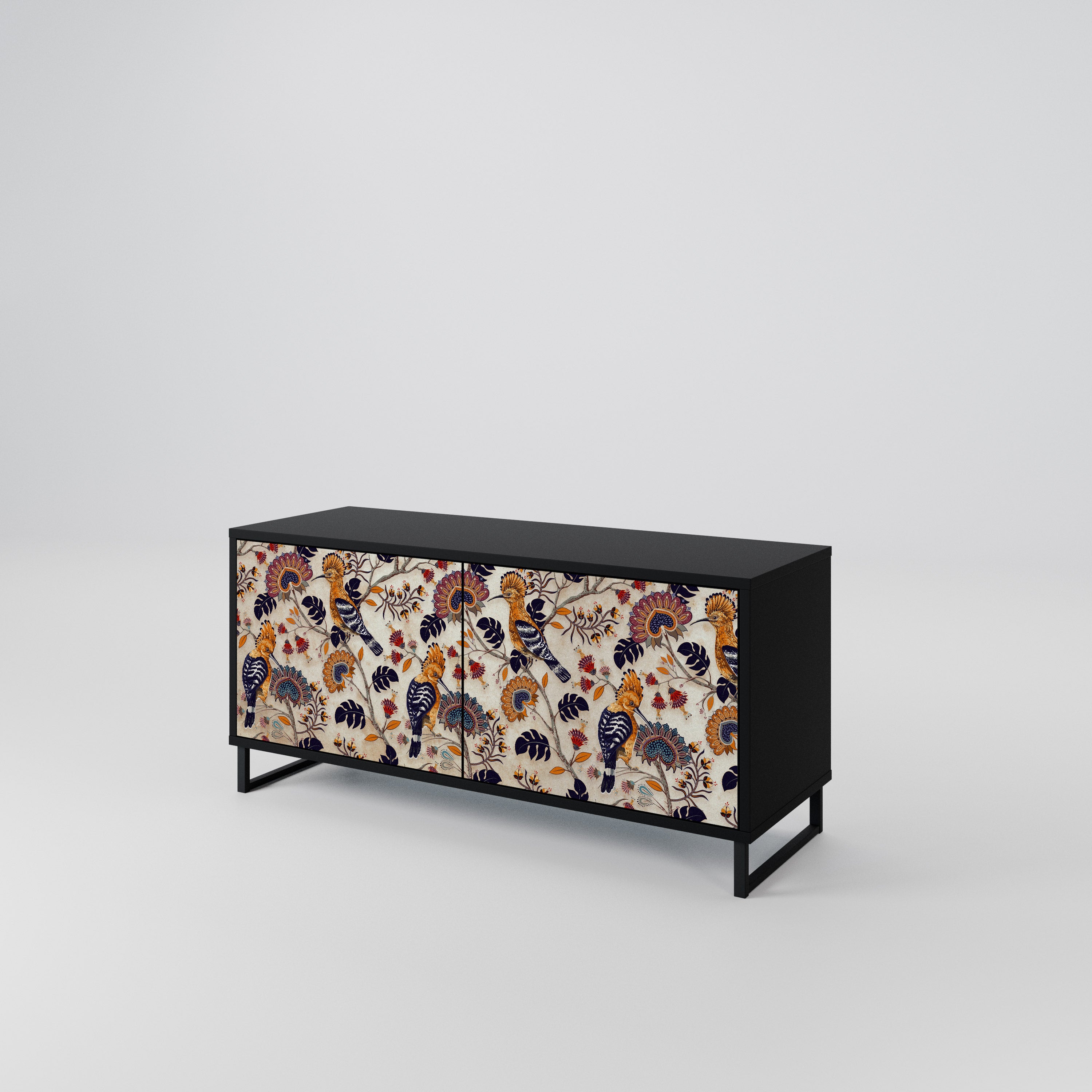 EMINENT HOOPOE Kompakt 2-dörrars TV-skåp