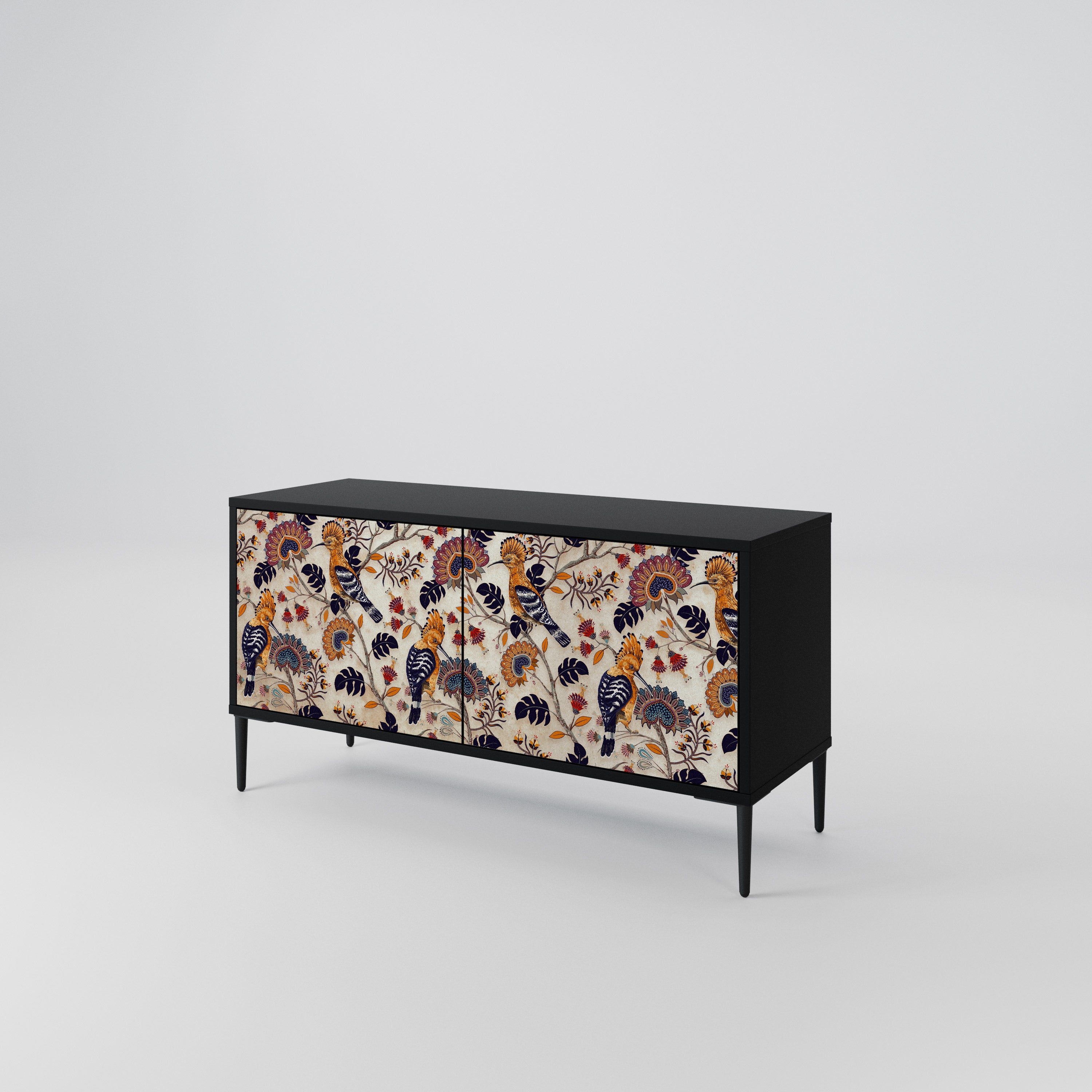 EMINENT HOOPOE Kompakt 2-dörrars TV-skåp