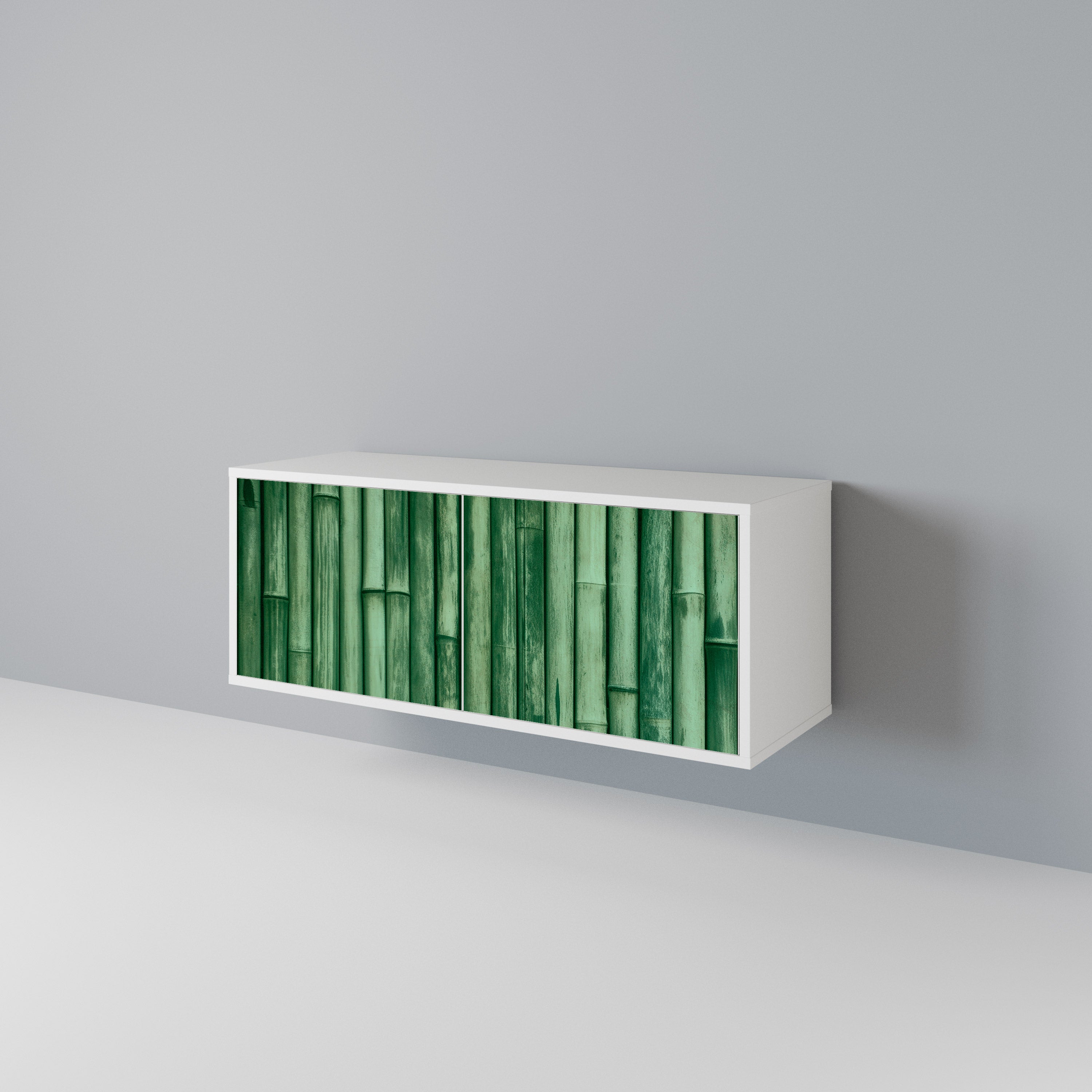 NATURAL GREEN Kompakt TV-bänk med 2 dörrar