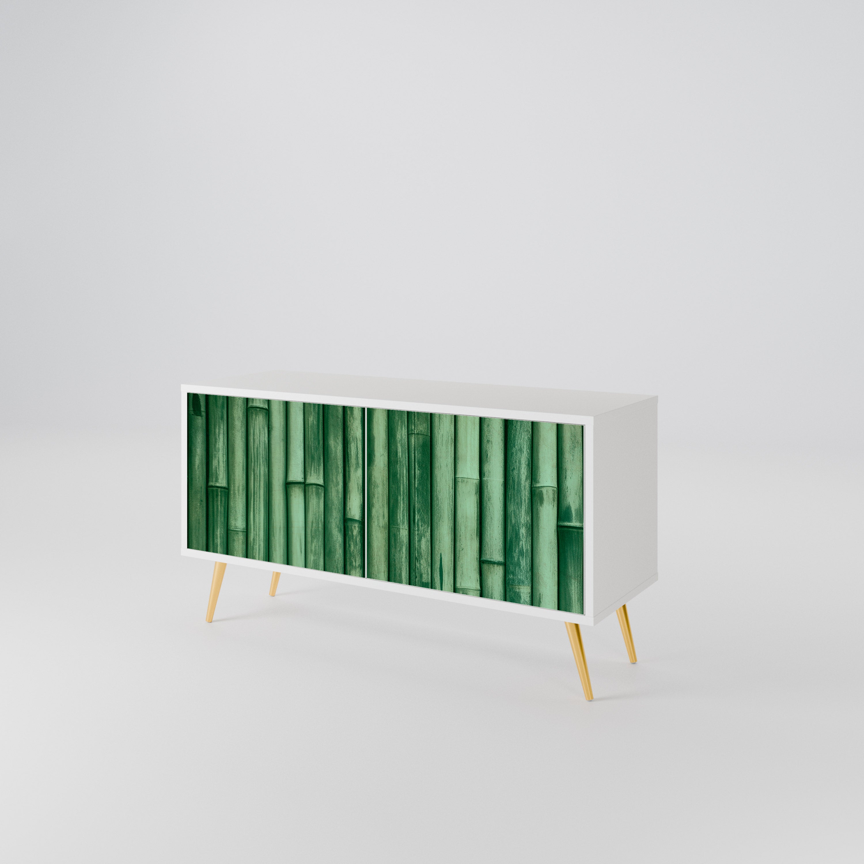 NATURAL GREEN Kompakt TV-bänk med 2 dörrar