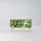 WILDERNESS DASH Kompakt TV-bänk med 2 dörrar