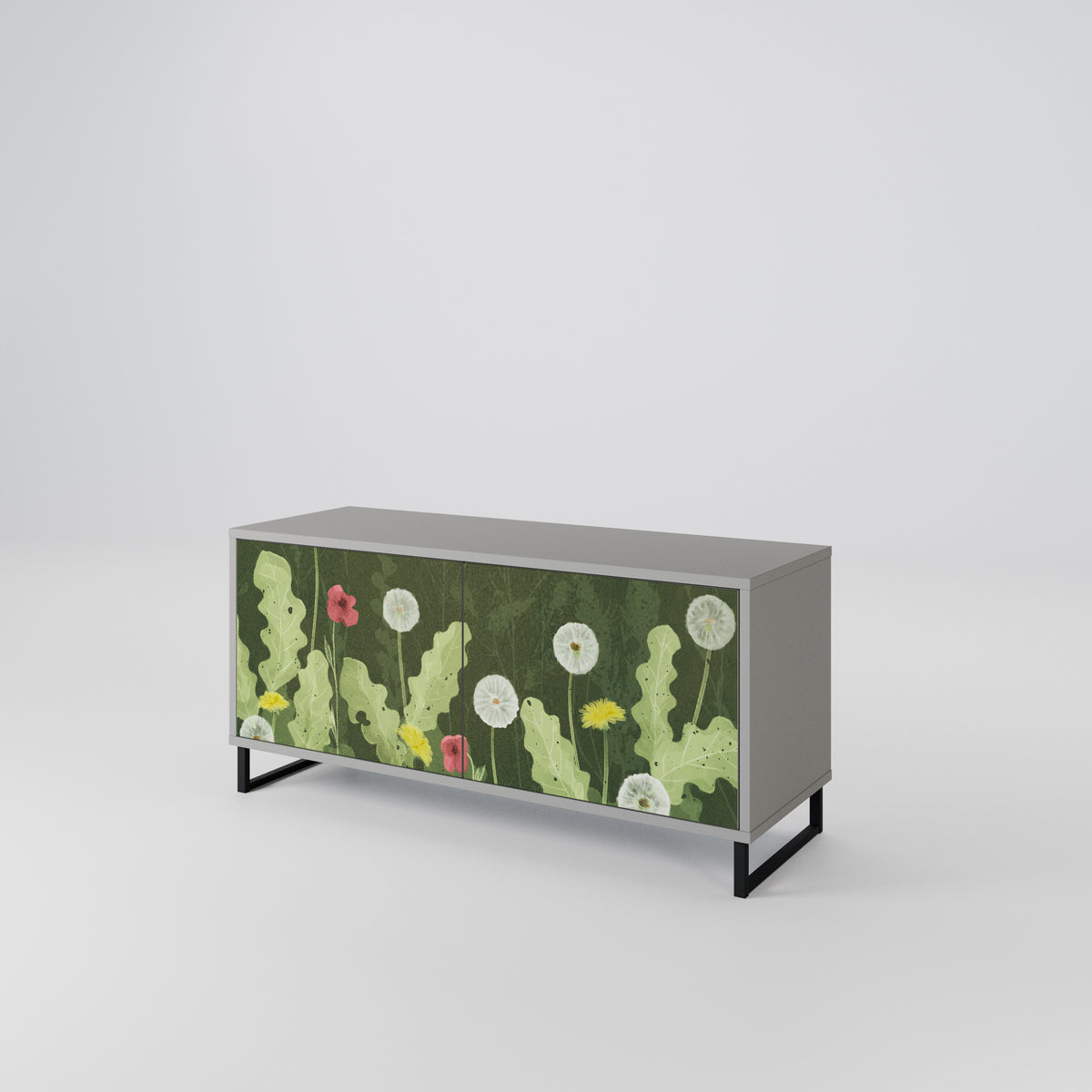 DANDELION AMUSE Kompakt TV-bänk med 2 dörrar