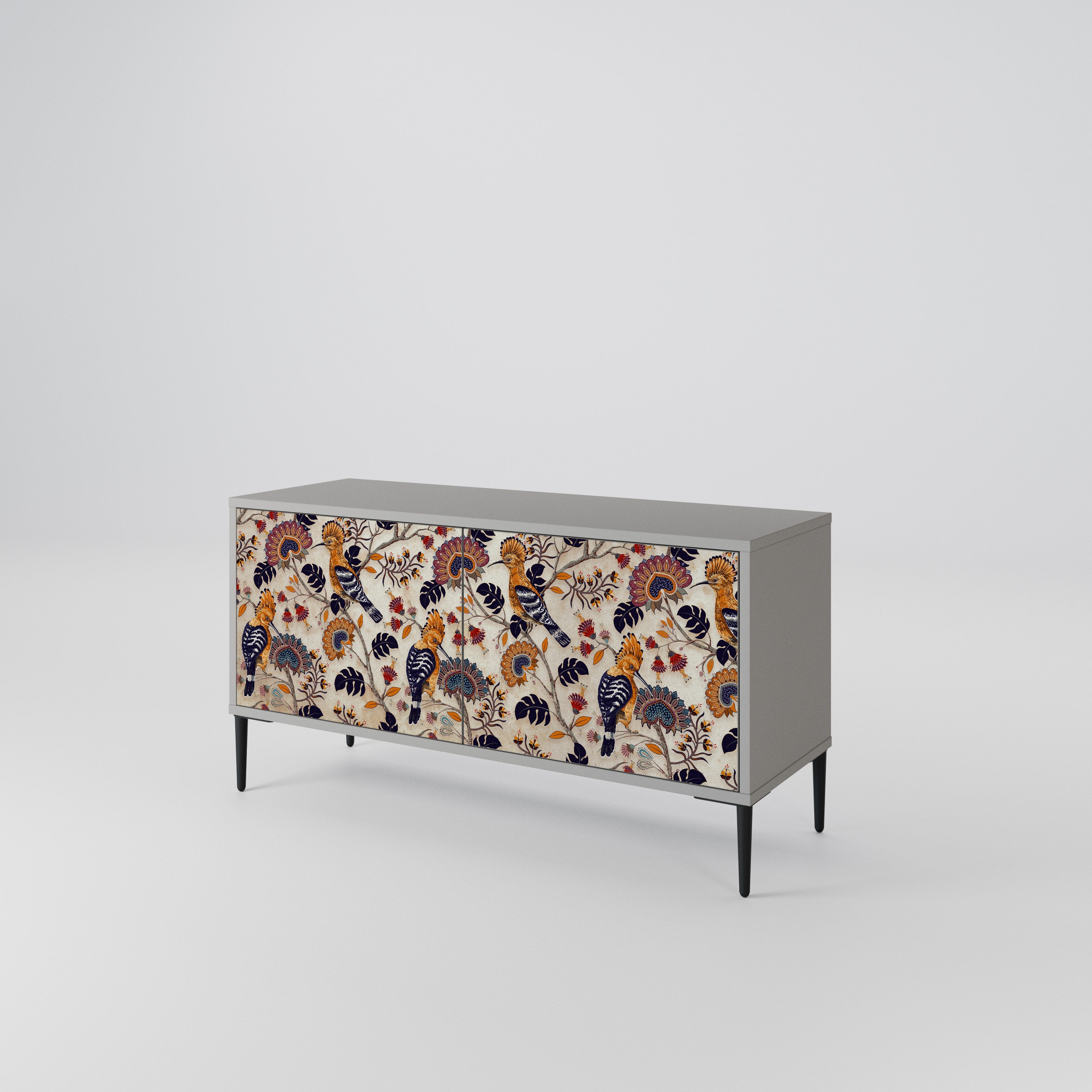 EMINENT HOOPOE Kompakt 2-dörrars TV-skåp