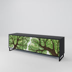 WILDERNESS DASH 3-dörrars TV-bänk i svart finish