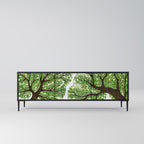 WILDERNESS DASH 3-dörrars TV-bänk i svart finish