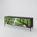 WILDERNESS DASH 3-dörrars TV-bänk i svart finish