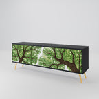 WILDERNESS DASH 3-dörrars TV-bänk i svart finish