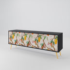 COCOA FRUITS 3-Door TV Stand in Black Finish