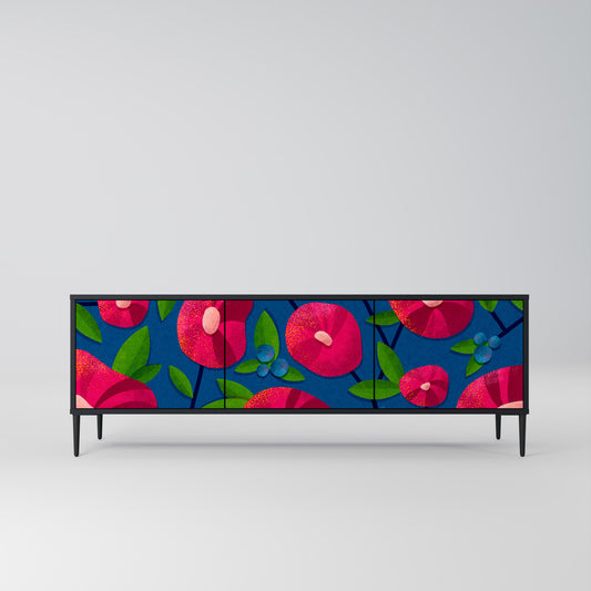SPRING THOUGHTS 3-Door TV Stand in Black Finish