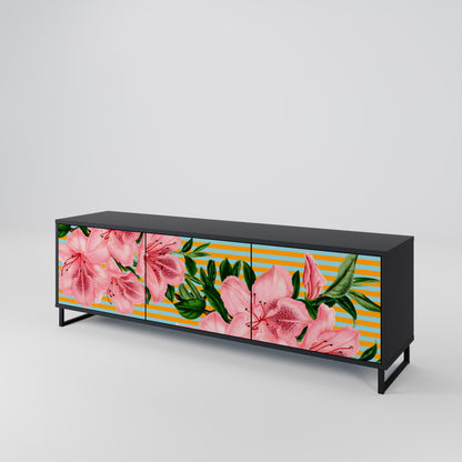 FRAGILE BEAUTY 3-Door TV Stand in Black Finish
