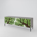 WILDERNESS DASH 3-Door TV Stand in Grey Finish