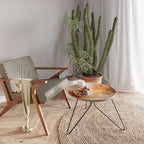 AMBER WHISPERS Soffbord