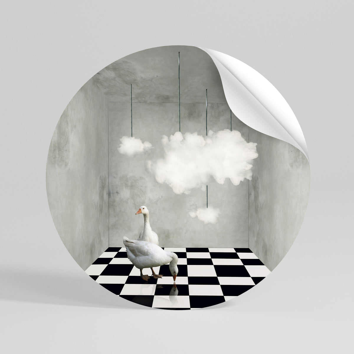 CHESS CLOUD SWAN Rund väggdekal