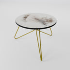 CHARMING DELICACY Coffee Table