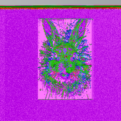 DON'T FOLLOW THE RABBIT Vertical Canvas Print