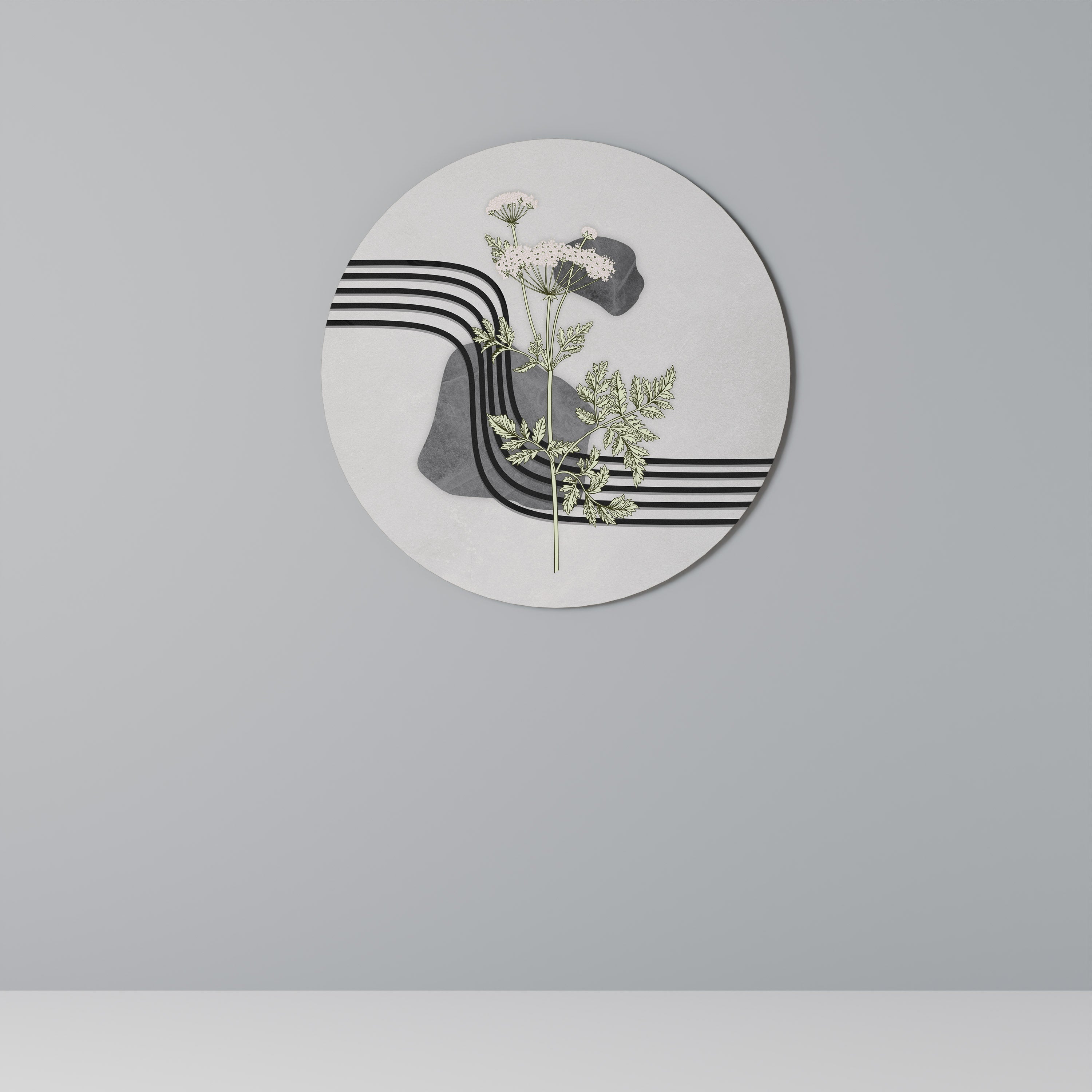 HERACLEUM ARRAY Rund väggdekoration