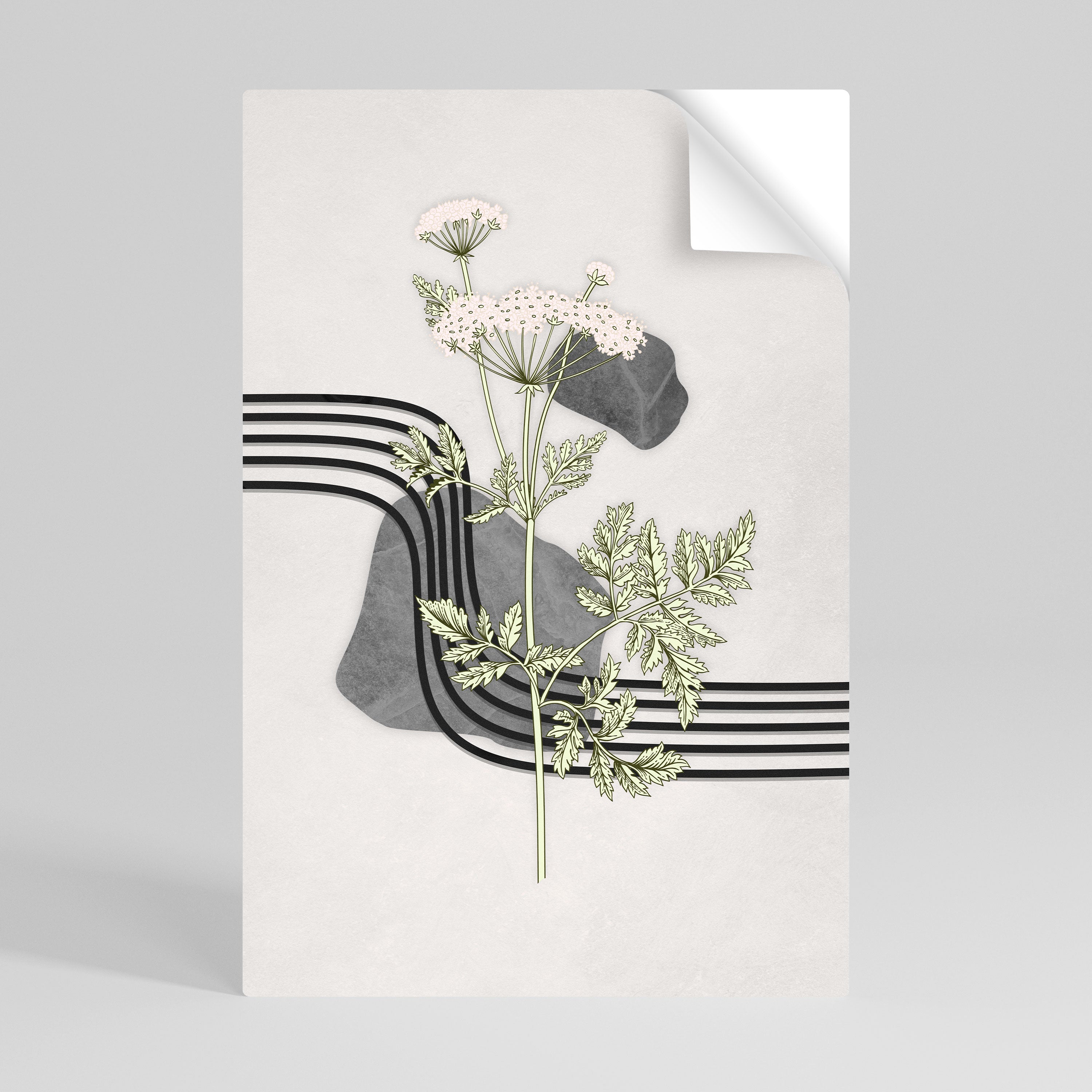 HERACLEUM ARRAY Självhäftande Vertikal Poster