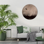 MOONBEAM THOUGHTS Round Wall Art