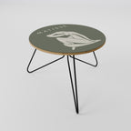 MATISSE NUDES Coffee Table