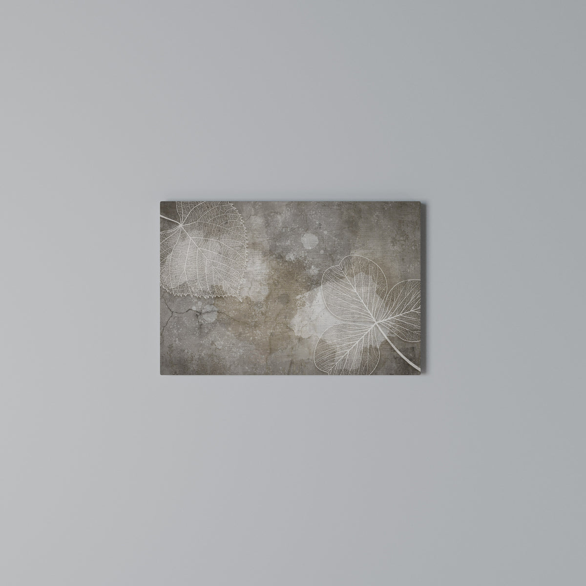 FAIR NERVATION Horizontal Canvas Print
