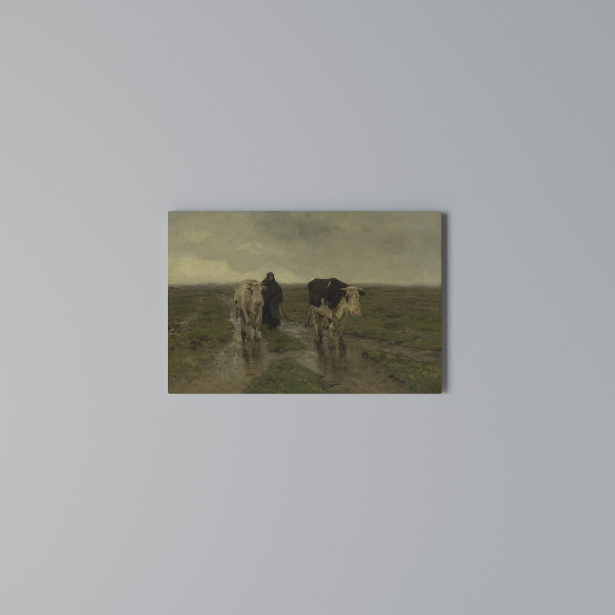 RAINY REFLECTIONS Horizontal Canvas Print