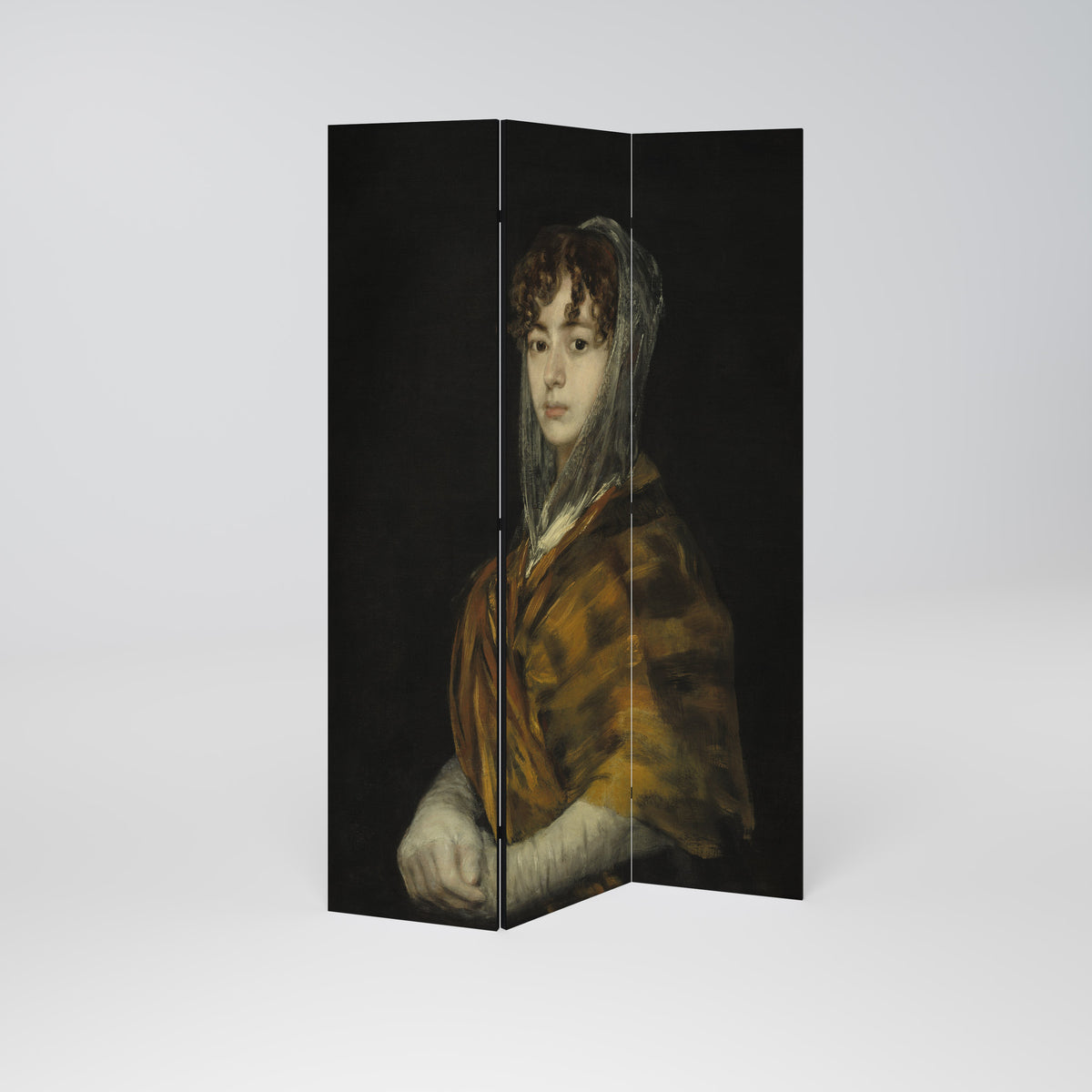 WHISPERS OF HISTORY Dekorativ rumsavdelare – 3 paneler