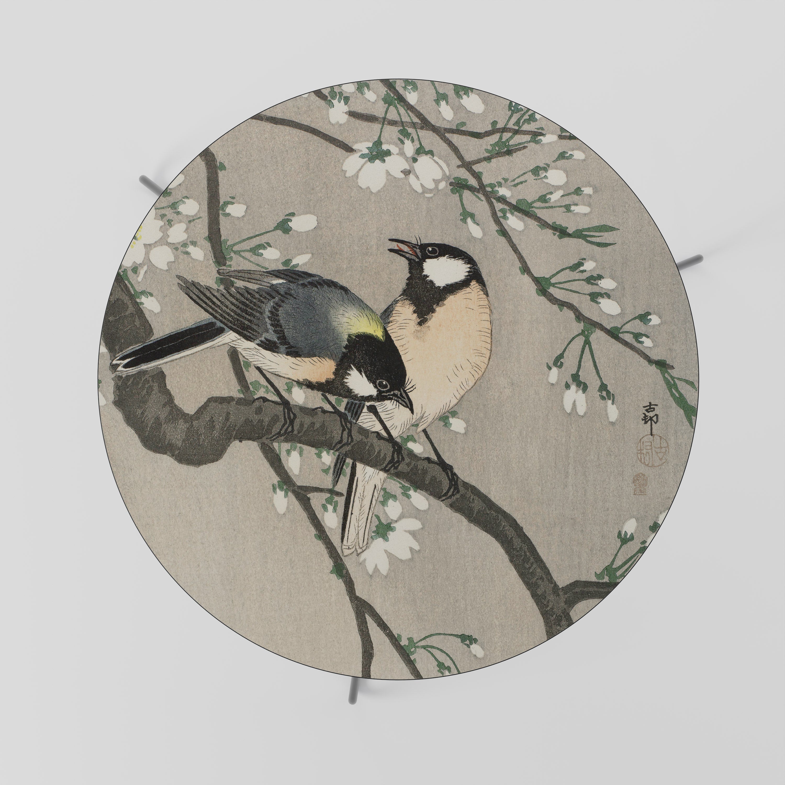 TITS ON CHERRY BRANCH Soffbord