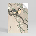 TITS ON CHERRY BRANCH Självhäftande Vertikal Poster