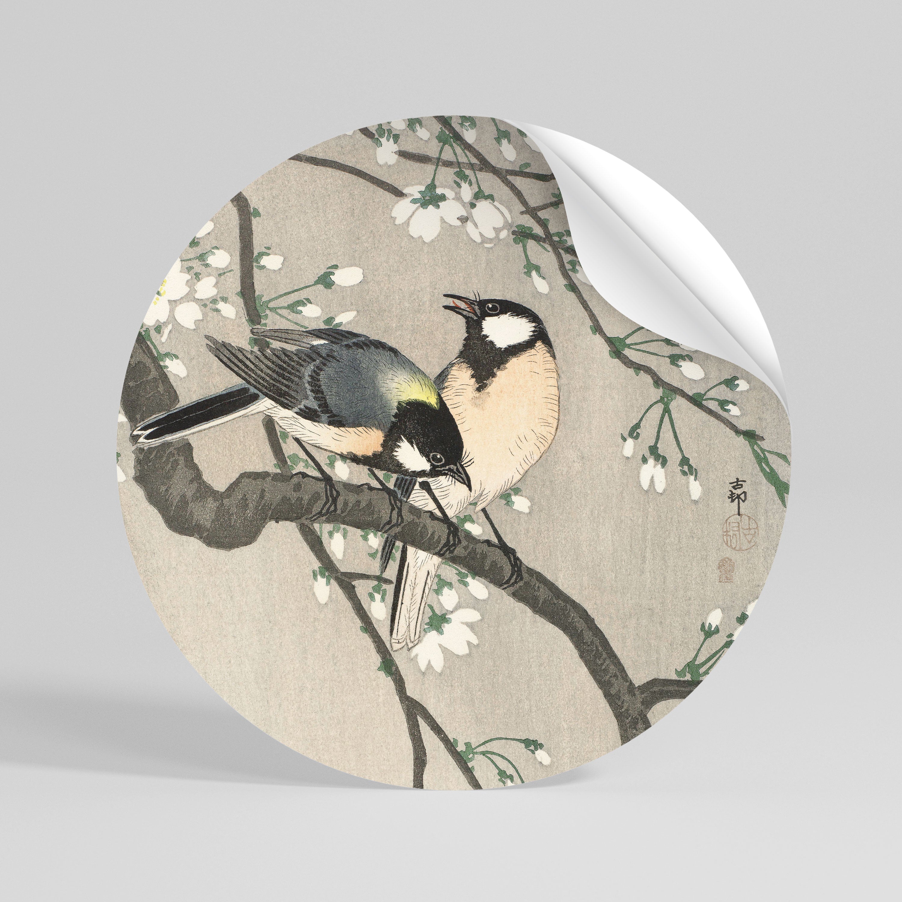 TITS ON CHERRY BRANCH Rund väggdekal