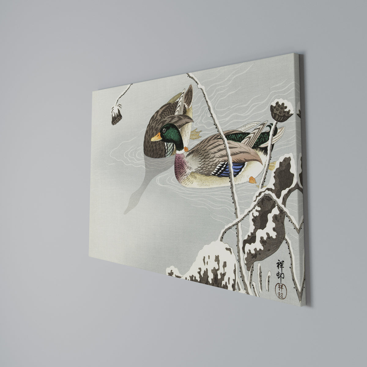 DANCE OF DUCKS Horizontal Canvas Print