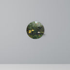 VIRGIN FOREST WITH SUNSET Round Art Shelf In Black Finish