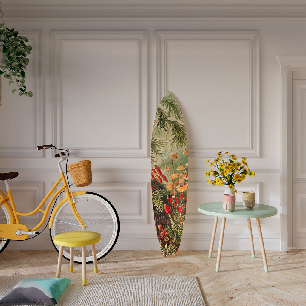 MUSCINAE LAUBMOOSE Dekorativ Surfbräda