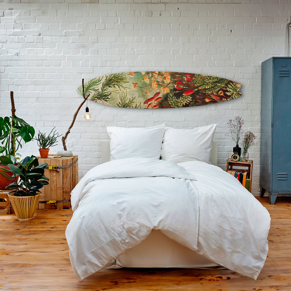 MUSCINAE LAUBMOOSE Dekorativ Surfbräda