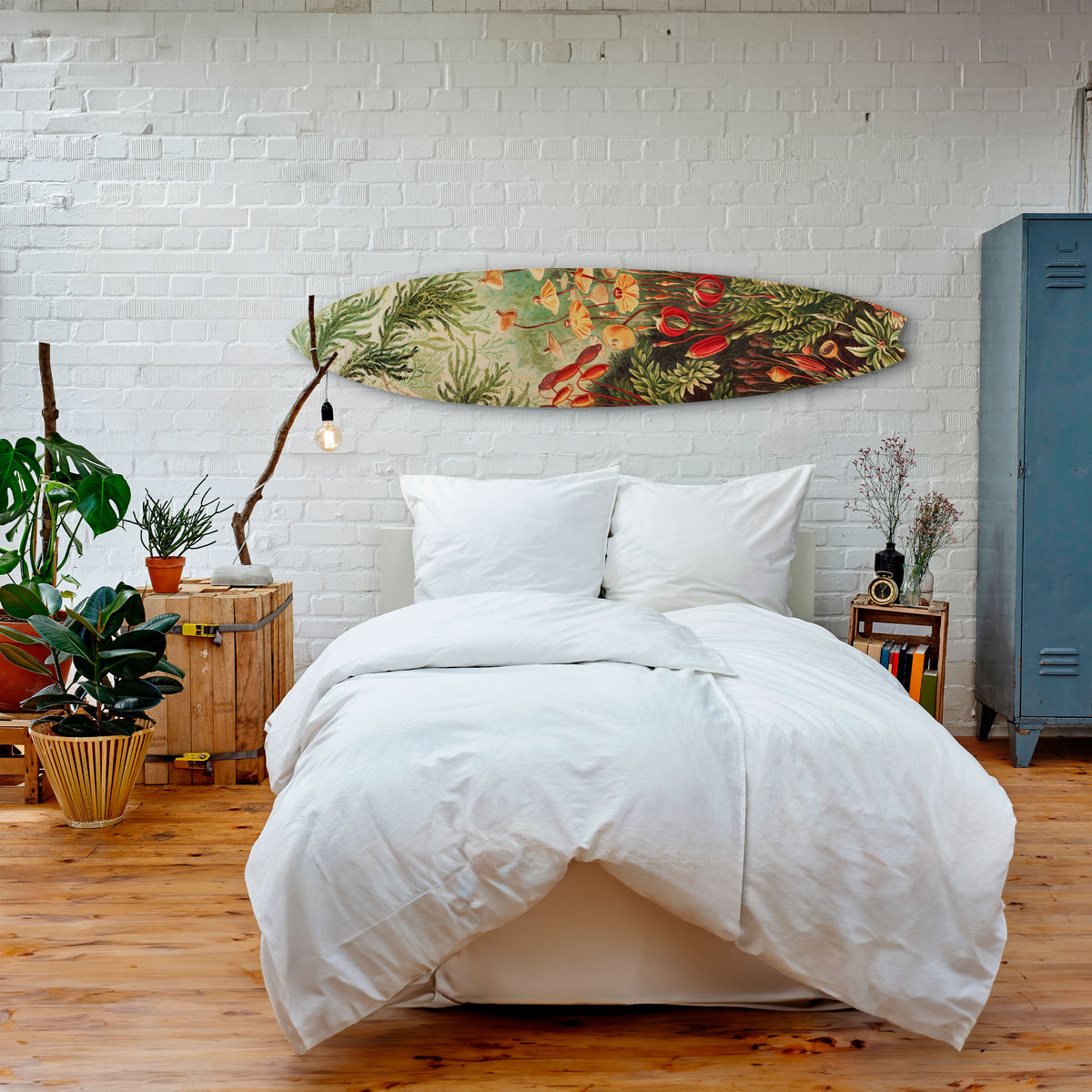 MUSCINAE LAUBMOOSE Dekorativ Surfbräda