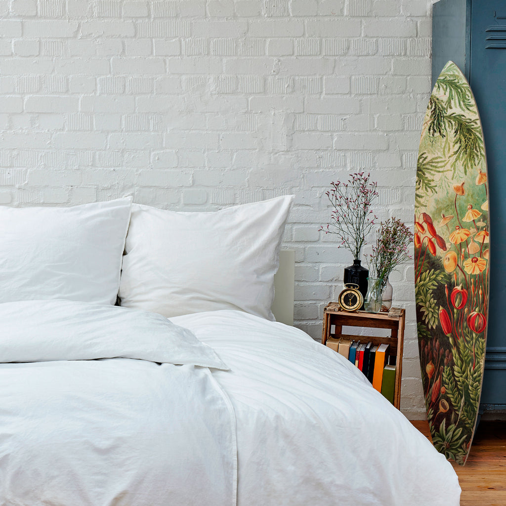 MUSCINAE LAUBMOOSE Dekorativ Surfbräda