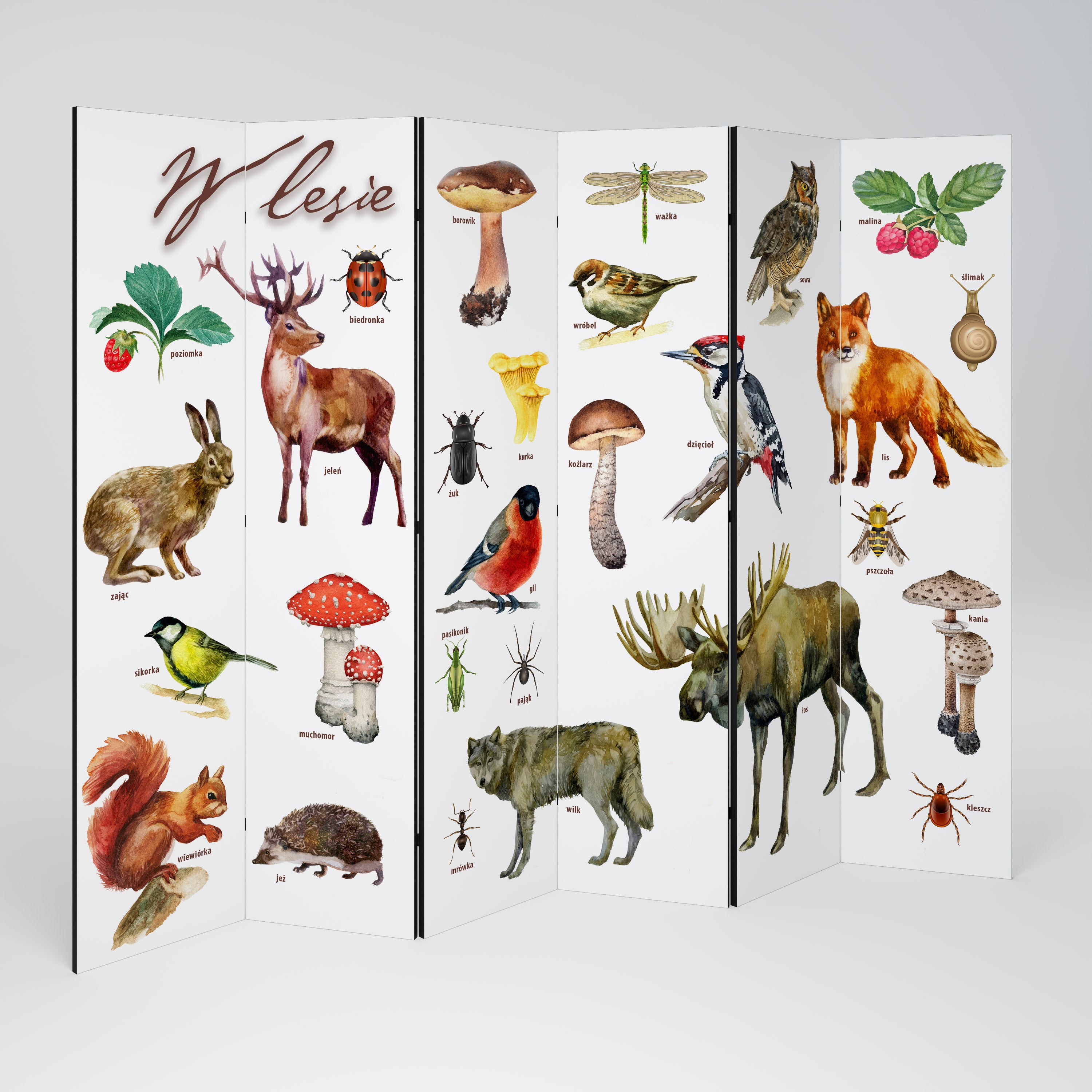 FOREST LESSON Rumsavdelare 6 paneler