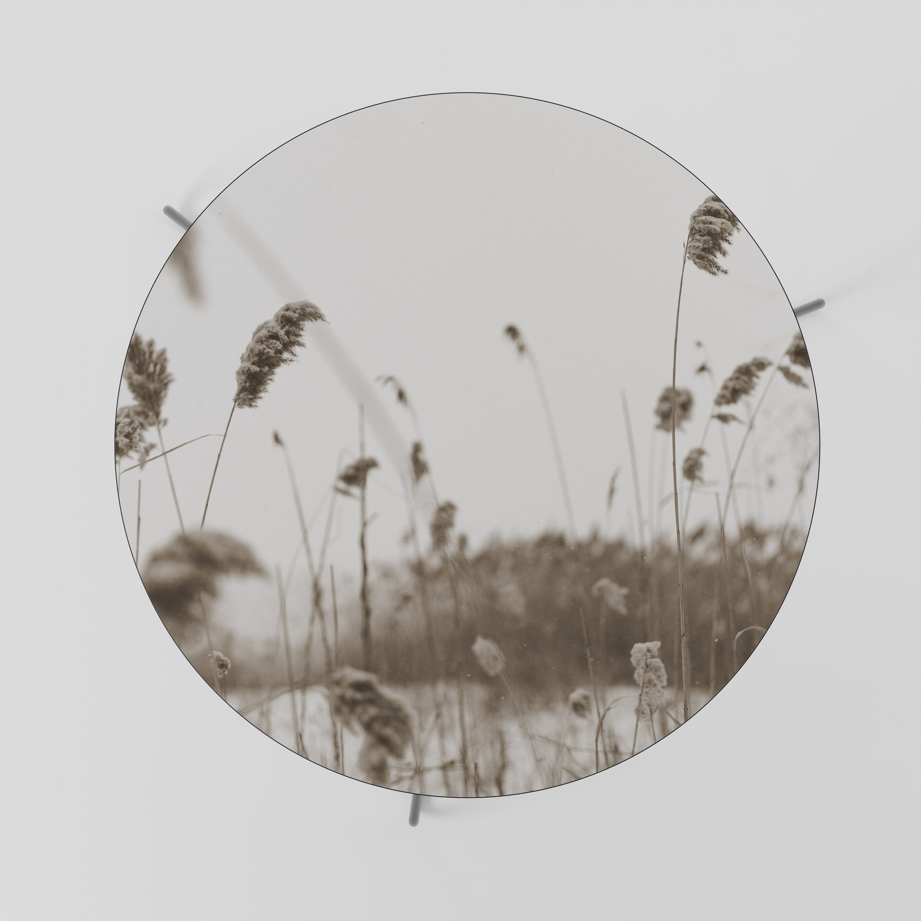 TIMELESS TUSSOCKS Coffee Table