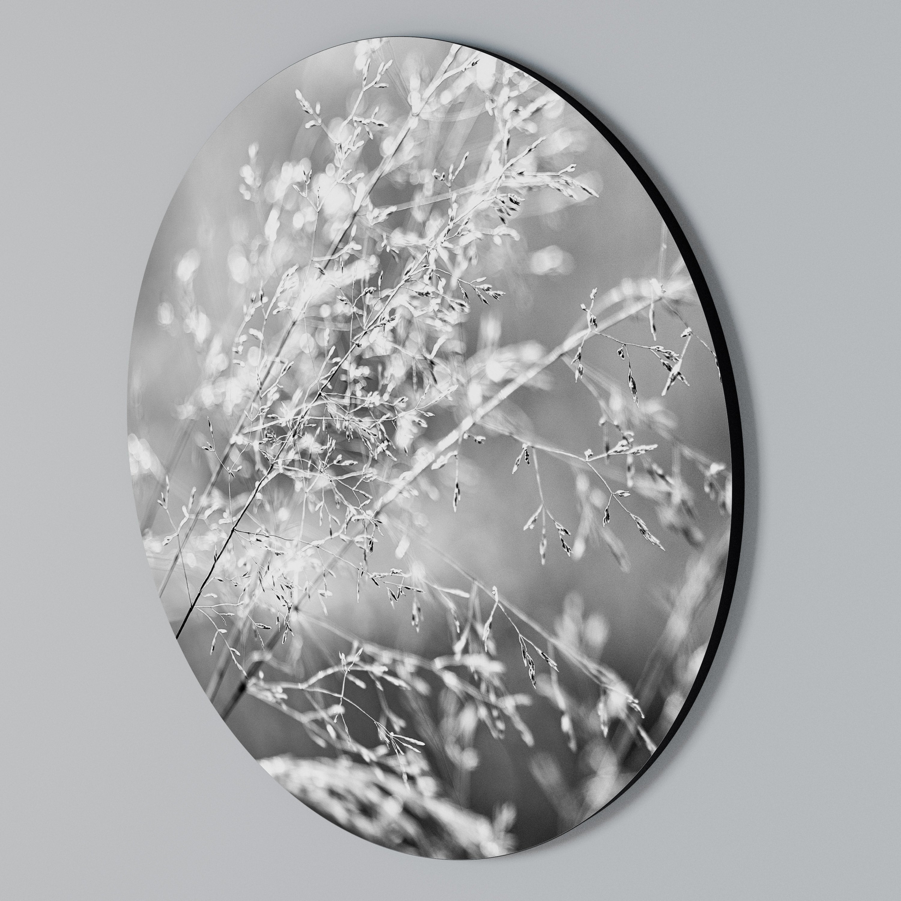 LIGHTSWEPT HARMONY Round Wall Art