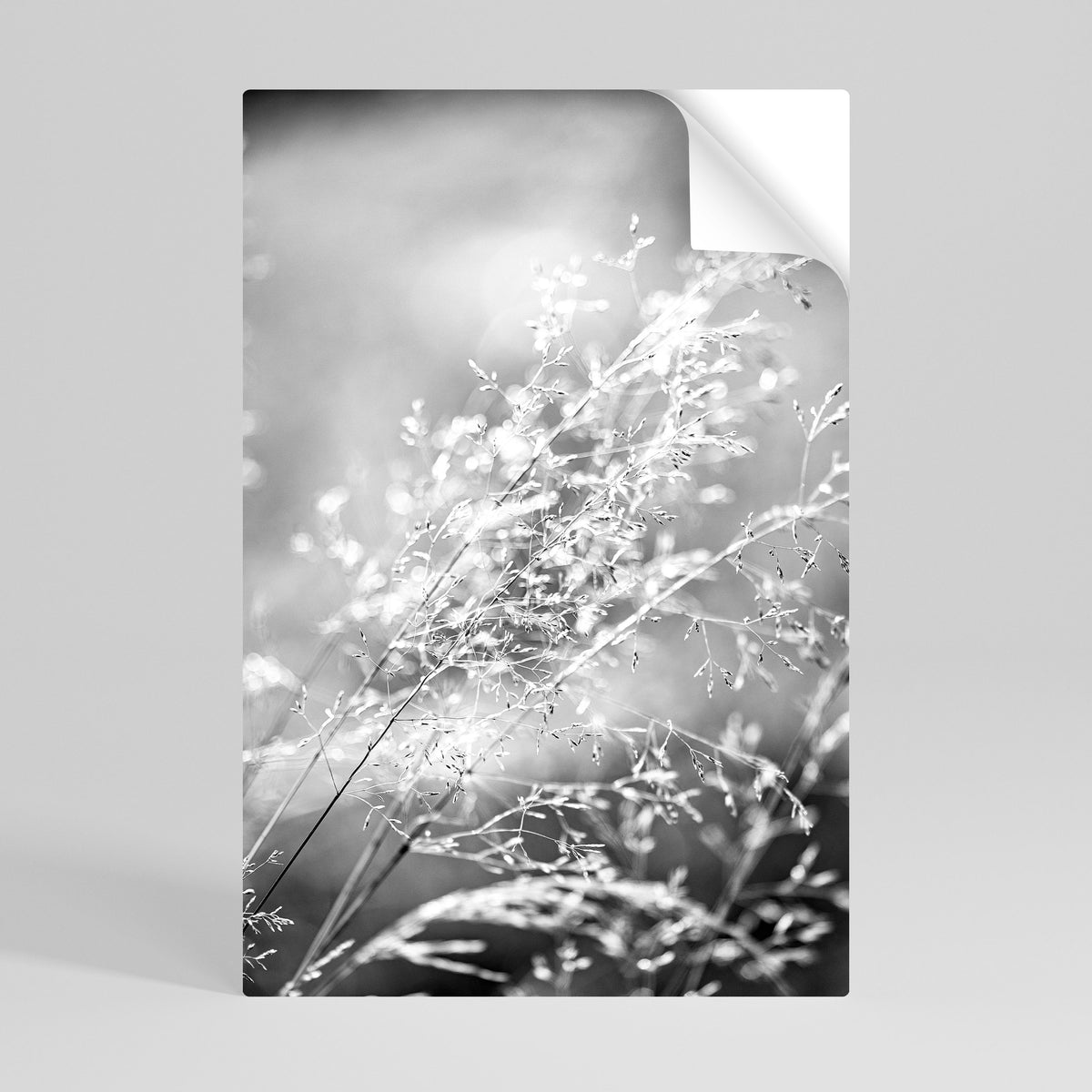 LIGHTSWEPT HARMONY Självhäftande Vertikal Poster