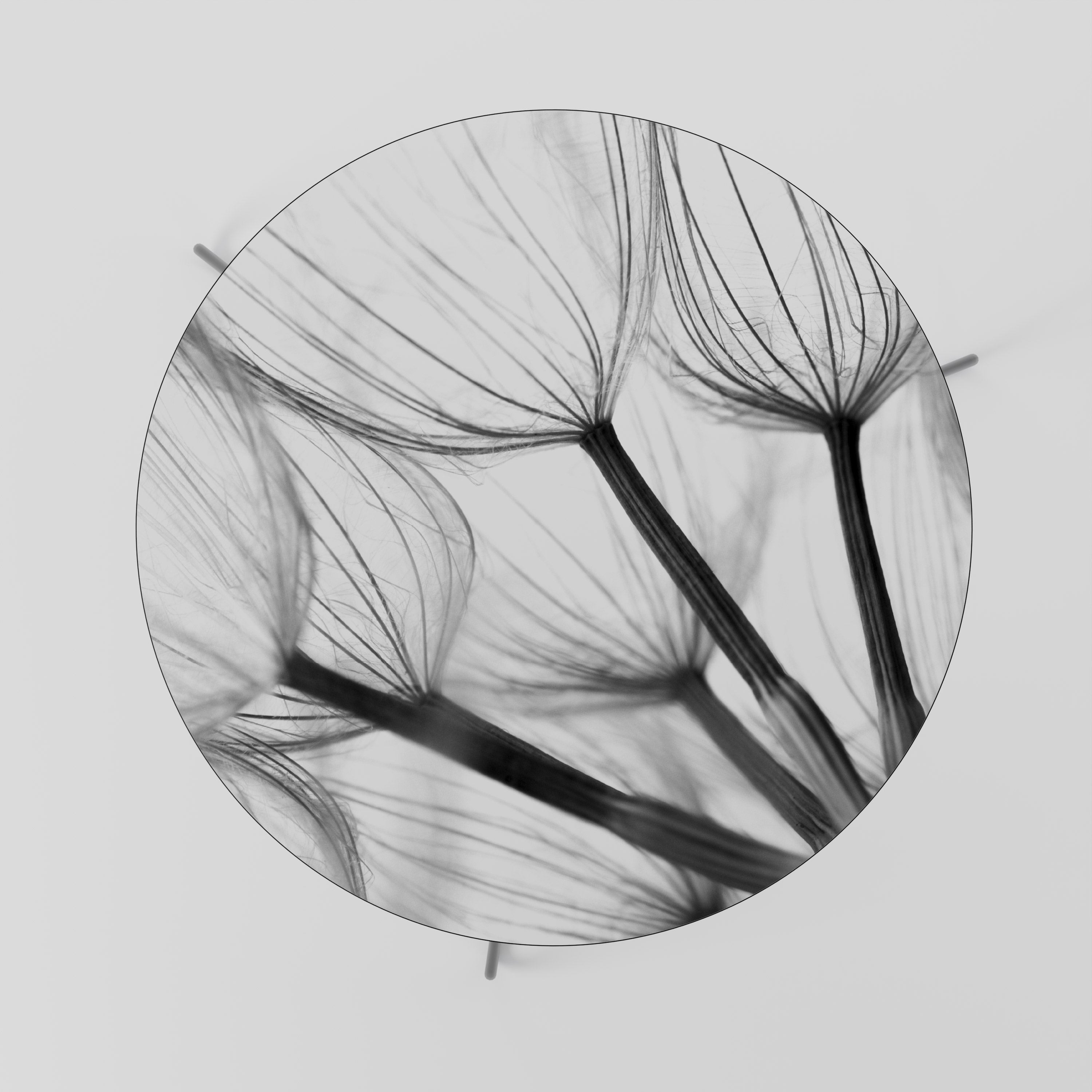 SILKEN FLIGHT Soffbord