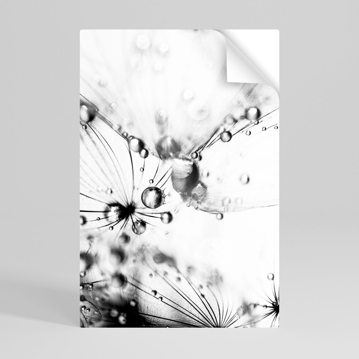 ELEGANT DROPLETS Självhäftande Vertikal Poster