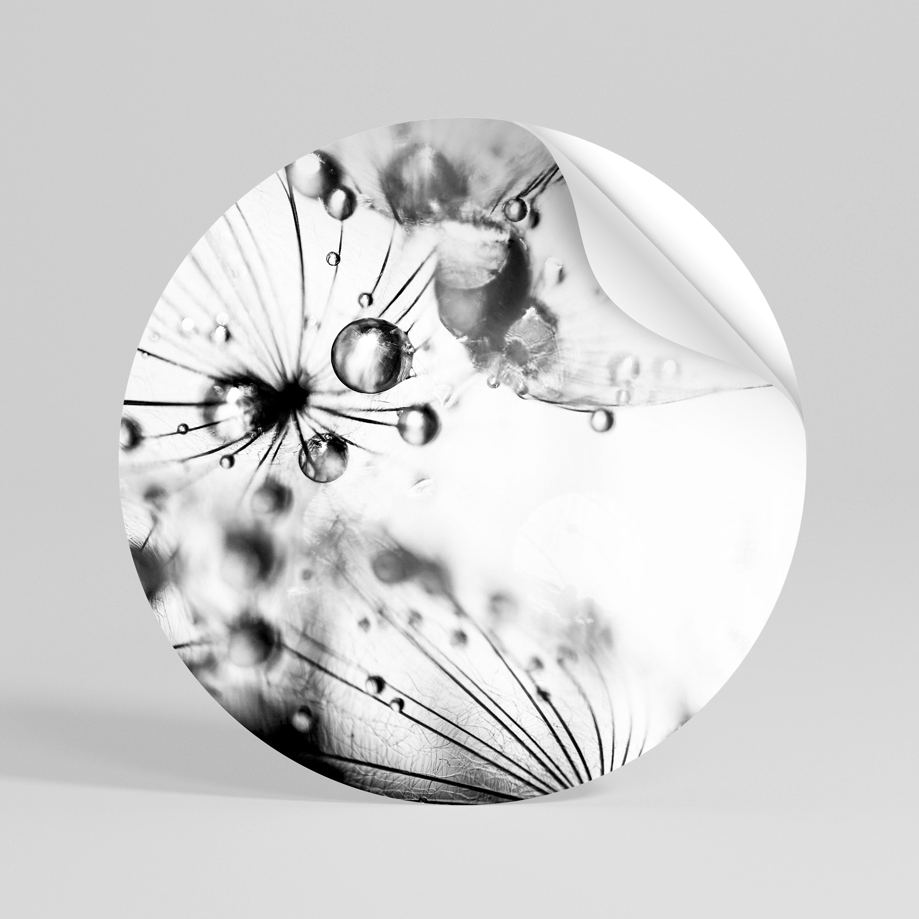 ELEGANT DROPLETS Rund väggdekal