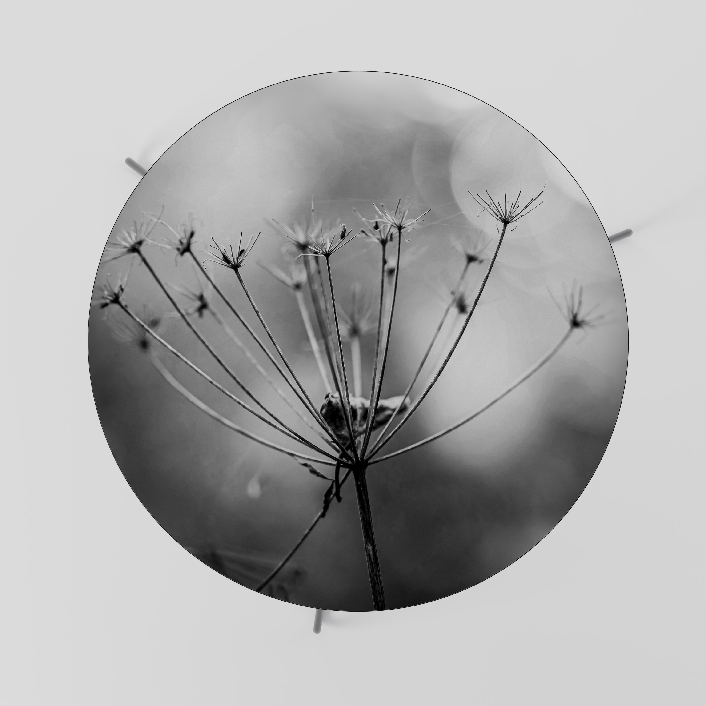 MINIMALIST BLOOM Soffbord